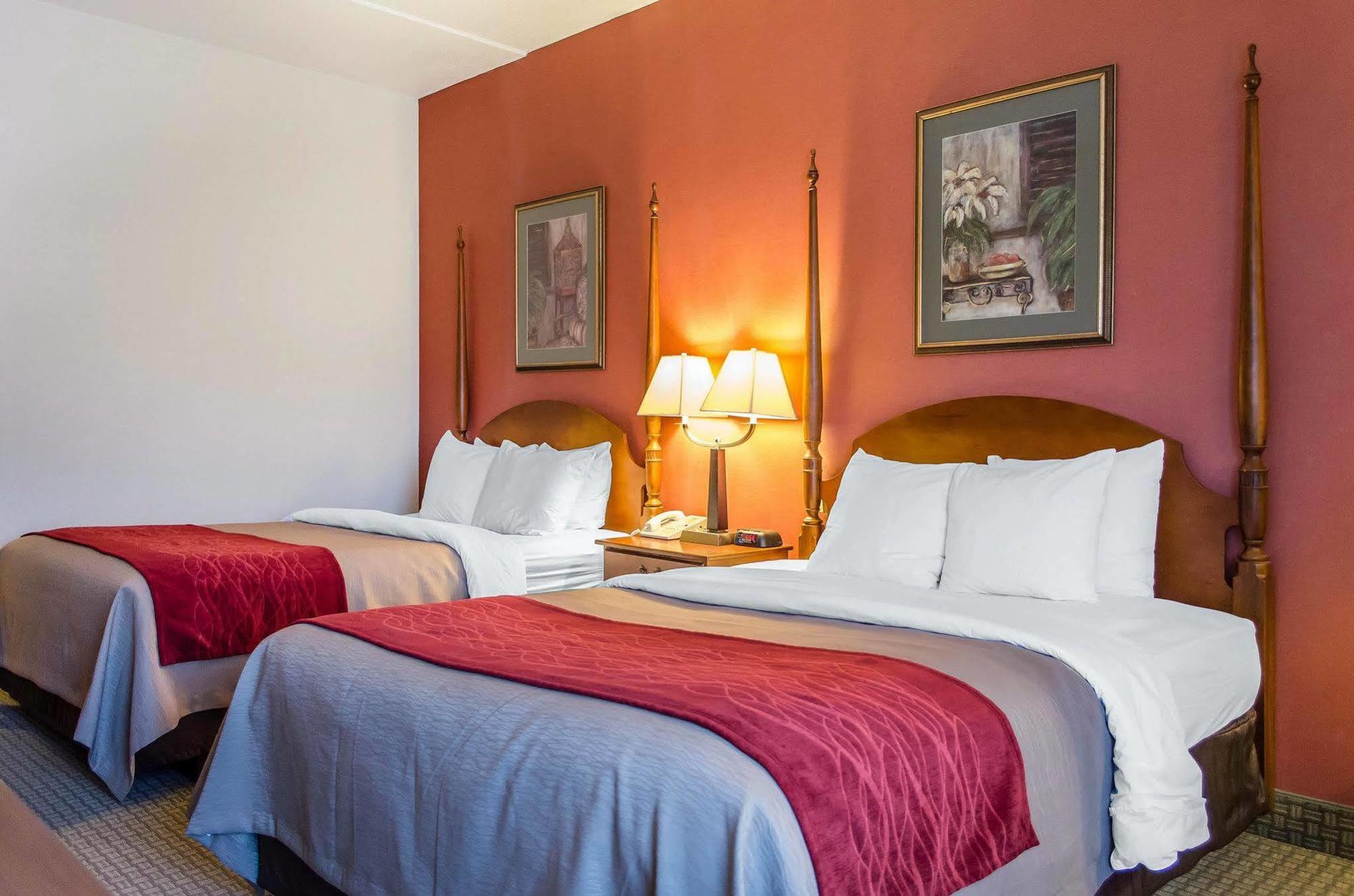 Comfort Inn & Suites York Ngoại thất bức ảnh